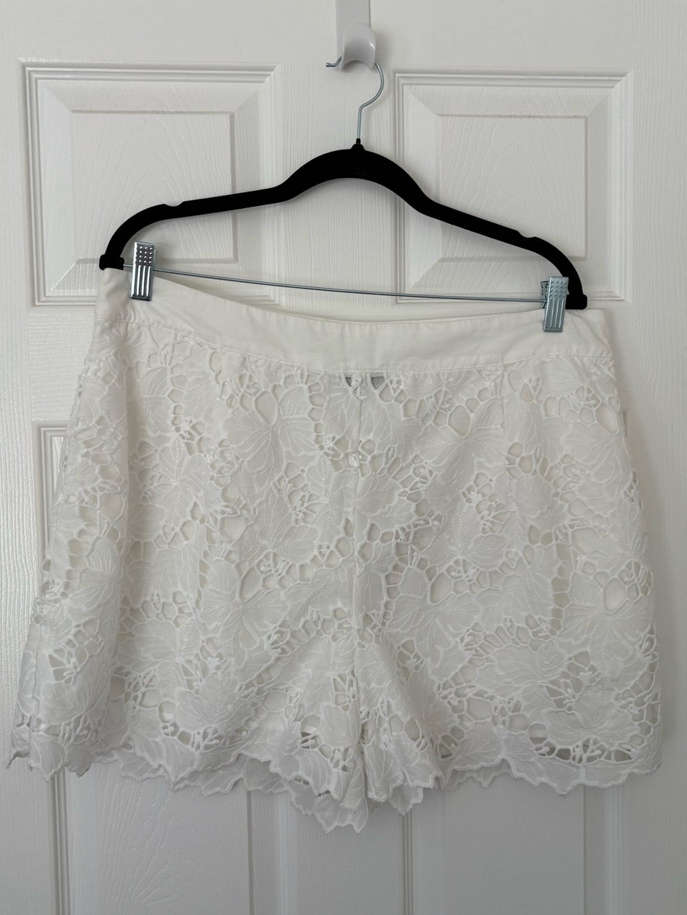 NWT Aqua lace shorts sz XXL